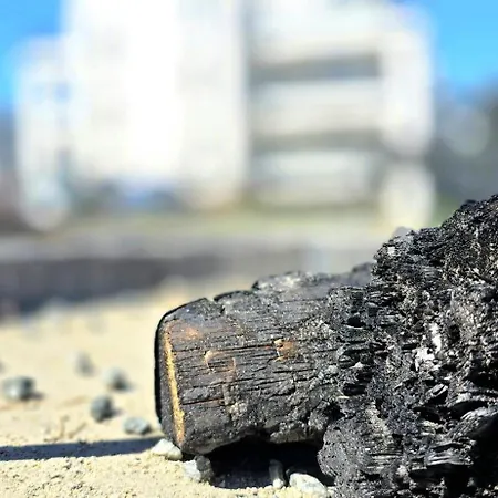 Perla Jantaru By Triapart Jantar