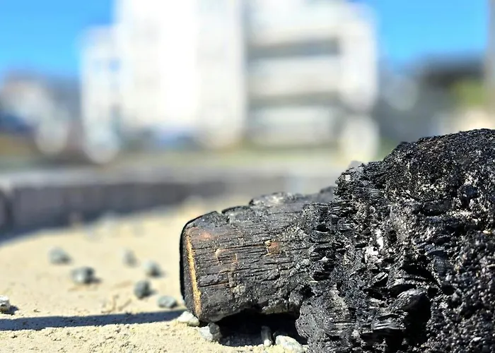 Perla Jantaru By Triapart Янтар